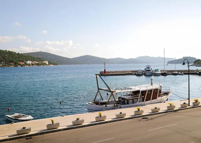 Appartement Milka With Sea View Tisno